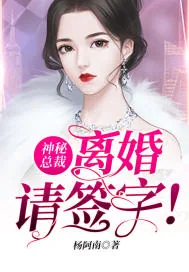 《神秘总裁，离婚请签字！》小说封面