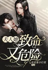 《夫人她致命又危险》小说封面