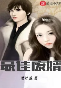 《最佳废婿》小说封面