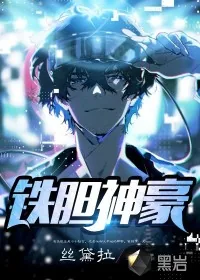 《铁胆神豪》小说封面