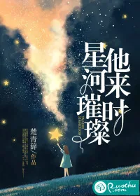 《他来时星河璀璨》小说封面