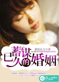《蓄谋已久的婚姻》小说封面