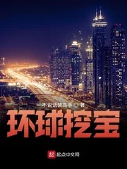 《环球挖宝》小说封面
