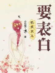 《机长大人要表白》小说封面