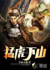 《猛虎将下山》小说封面