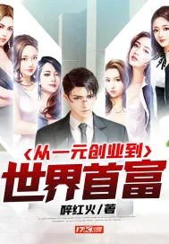 《从一元创业到世界首富》小说封面