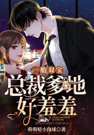 《一胎双宝:总裁爹地好羞羞》小说封面