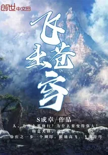 《飞出苍穹》小说封面
