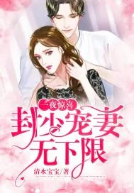 《一夜惊喜:封少宠妻无下限》小说封面