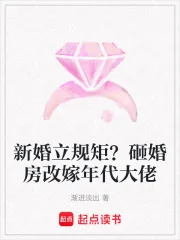 《新婚立规矩？砸婚房改嫁年代大佬》小说封面