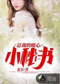 《总裁的暖心小秘书》小说封面