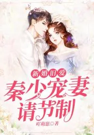 《新婚旧爱:秦少宠妻请节制》小说封面
