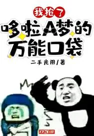 《我抢了哆啦A梦的万能口袋》小说封面