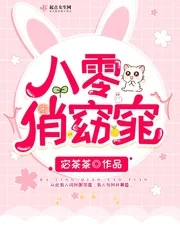《八零俏窈窕》小说封面