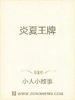 《炎夏王牌》小说封面