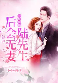 《一纸薄婚:陆先生,后会无妻》小说封面