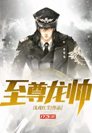 《至尊龙帅》小说封面