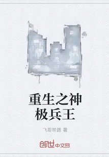 《重生之神极兵王》小说封面