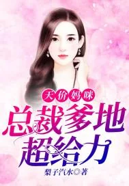 《天价妈咪:总裁爹地超给力》小说封面