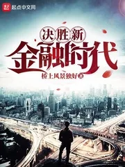 《决胜新金融时代》小说封面