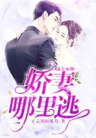 《前夫难缠:娇妻哪里逃》小说封面