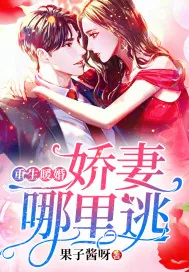 《重生暖婚:娇妻哪里逃》小说封面