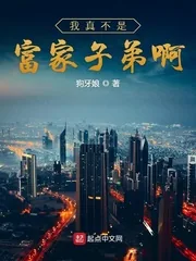 《我真不是富家子弟啊》小说封面
