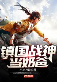 《镇国战神当奶爸》小说封面