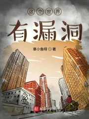《这个世界有漏洞》小说封面