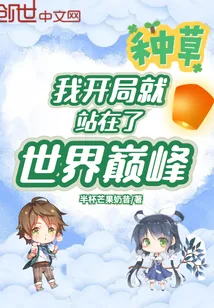 《我开局就站在了世界巅峰》小说封面