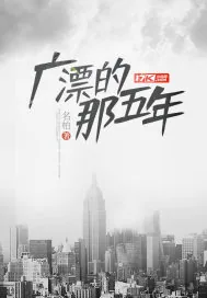 《广漂的那五年》小说封面