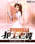 《我的极品护士老婆》小说封面