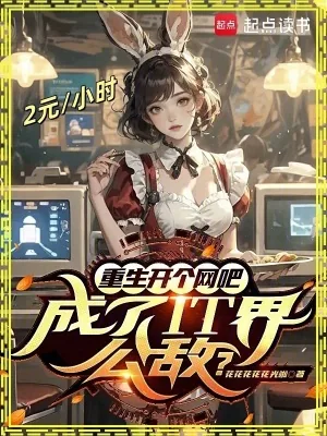 《重生开个网吧,成了IT界公敌?》小说封面
