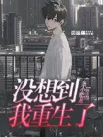 《没想到我重生了》小说封面
