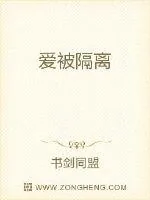 《爱被隔离》小说封面