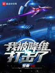 《我被降维打击了》小说封面