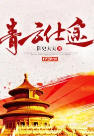《青云仕途》小说封面