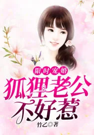 《限时宠婚：狐狸老公不好惹》小说封面