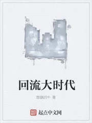 《回流大时代》小说封面