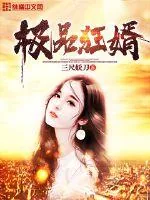 《极品狂婿》小说封面
