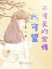 《我可望不可及的爱情》小说封面