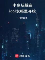 《半岛:从躲在idol衣柜里开始》小说封面