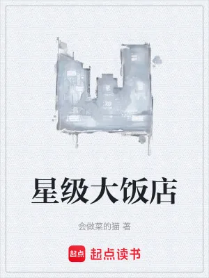 《我的天,他做菜会发光》小说封面