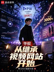 《华娱从继承视频网站开始》小说封面