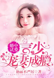 《婚中试爱：言少宠妻成瘾》小说封面