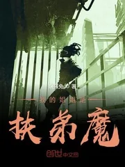 《我的姐姐是扶弟魔》小说封面