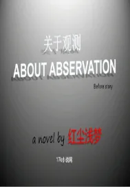 《关于观测》小说封面
