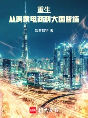 《重生:从跨境电商到大国智造》小说封面