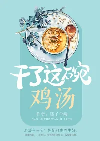 《干了这碗鸡汤》小说封面