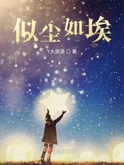 《似尘如埃》小说封面